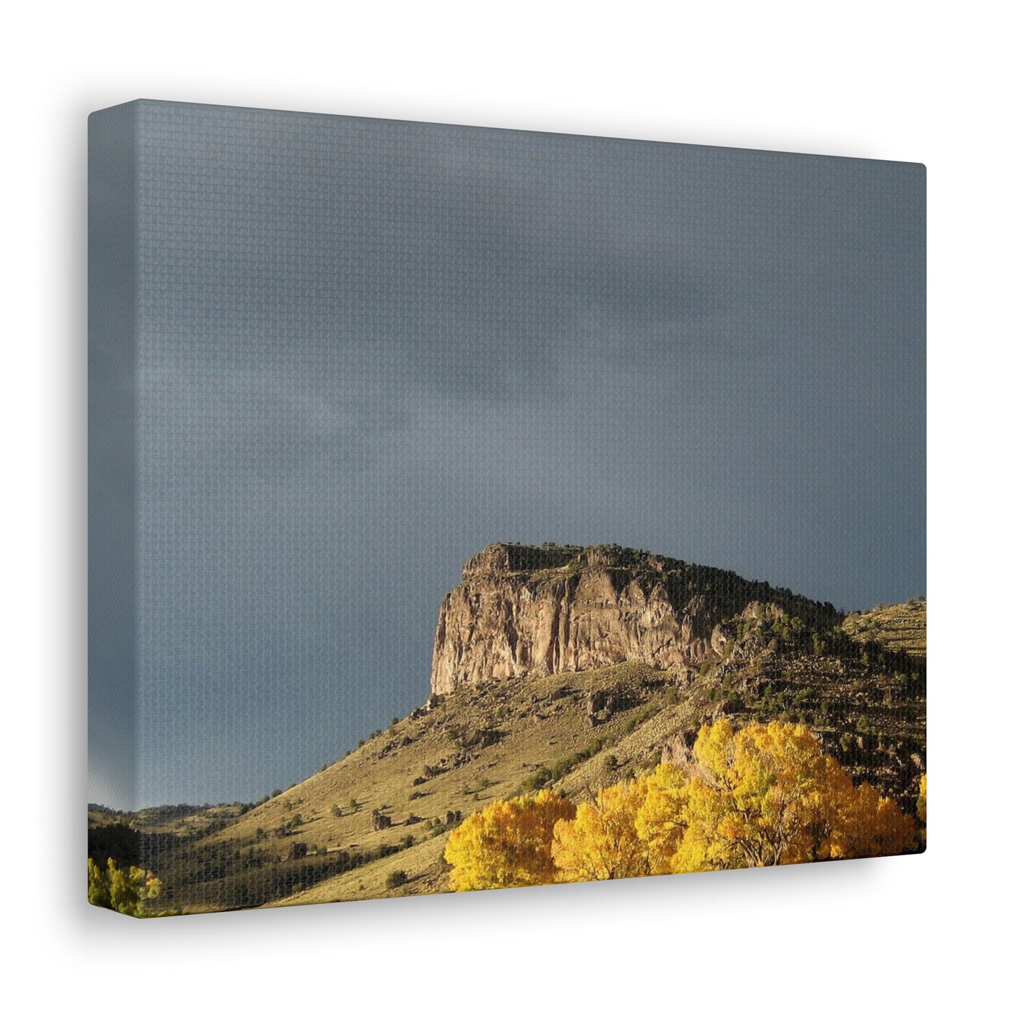 Colorado Storm - Canvas Gallery Wrap