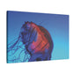 Moon Jellyfish - Matte Canvas, Stretched, 0.75"