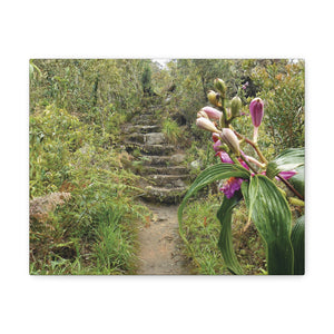 Color on the Path - Sacred Valley Peru Series - Canvas Gallery Wrap