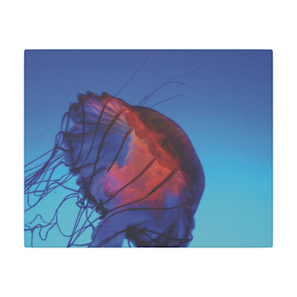 Moon Jellyfish - Matte Canvas, Stretched, 0.75"