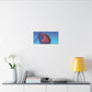 Moon Jellyfish - Matte Canvas, Stretched, 0.75"