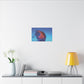 Moon Jellyfish - Matte Canvas, Stretched, 0.75"