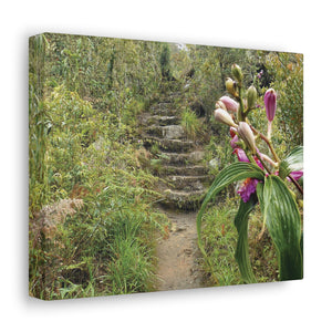 Color on the Path - Sacred Valley Peru Series - Canvas Gallery Wrap