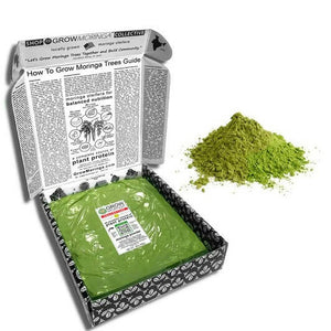 Moringa Powder Box